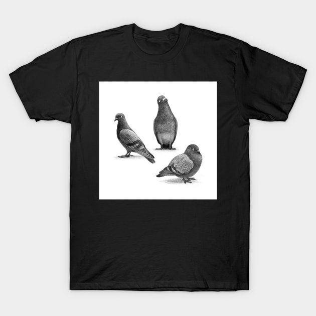 Three Pigeons T-Shirt by Terry Fan